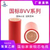 國(guó)標(biāo)阻燃ZC-BVV 300/500V聚氯乙烯絕緣.護(hù)套